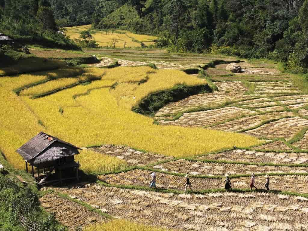 voyage-birmanie-myanmar-culture-restanque voyage-birmanie-myanmar-culture-restanque